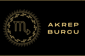 akrep-burcu.jpeg.png