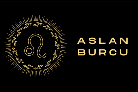 aslan-burcu.jpeg.png